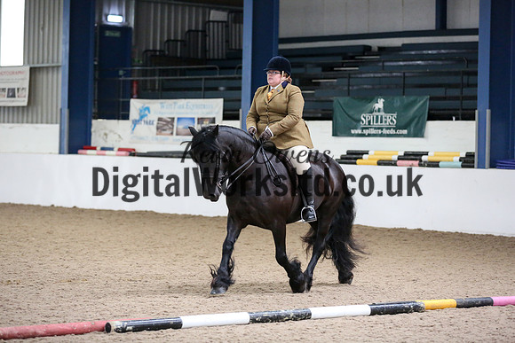 NECWPCA-SUMMER-WELSH-SILVER-MEDAL-SHOW (122 of 325)