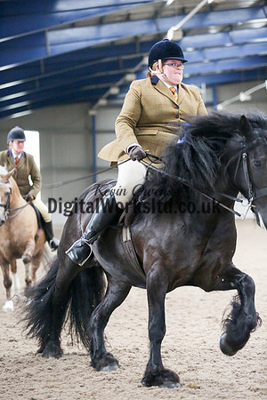 NECWPCA-SUMMER-WELSH-SILVER-MEDAL-SHOW (191 of 325)