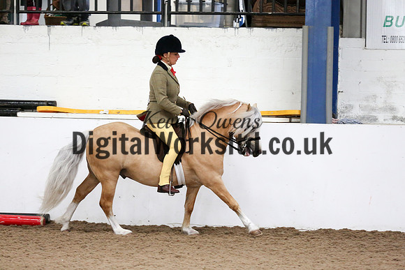 NECWPCA-SUMMER-WELSH-SILVER-MEDAL-SHOW (210 of 315)