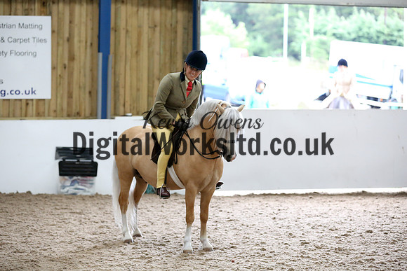 NECWPCA-SUMMER-WELSH-SILVER-MEDAL-SHOW (217 of 315)