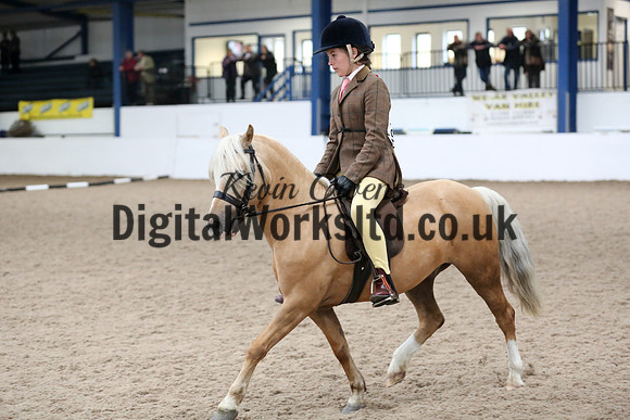 NECWPCA-SUMMER-WELSH-SILVER-MEDAL-SHOW (44 of 325)