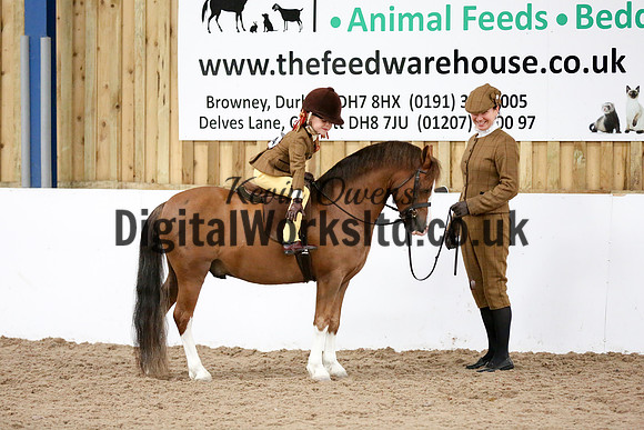 NECWPCA-SUMMER-WELSH-SILVER-MEDAL-SHOW (109 of 325)