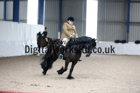 NECWPCA-SUMMER-WELSH-SILVER-MEDAL-SHOW (143 of 325)