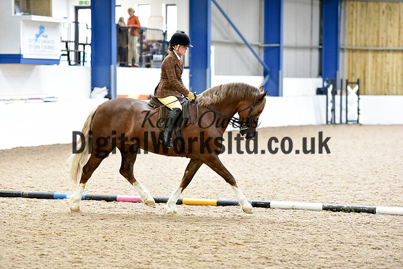 NECWPCA-SUMMER-WELSH-SILVER-MEDAL-SHOW (160 of 315)