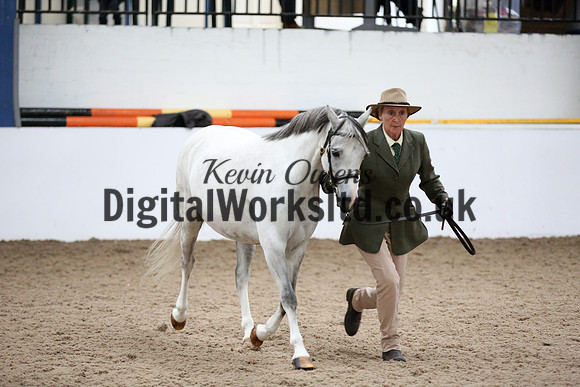 NECWPCA-SUMMER-WELSH-SILVER-MEDAL-SHOW (54 of 427)