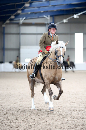 NECWPCA-SUMMER-WELSH-SILVER-MEDAL-SHOW (169 of 325)