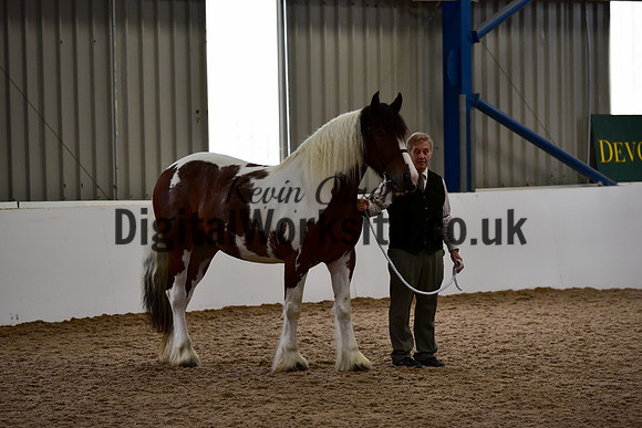 NECWPCA-SUMMER-WELSH-SILVER-MEDAL-SHOW (35 of 150)