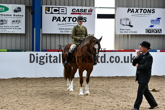 NECWPCA-SUMMER-WELSH-SILVER-MEDAL-SHOW (19 of 92)
