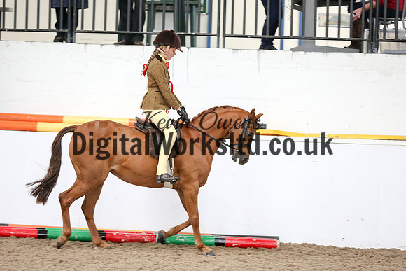 NECWPCA-SUMMER-WELSH-SILVER-MEDAL-SHOW (104 of 315)
