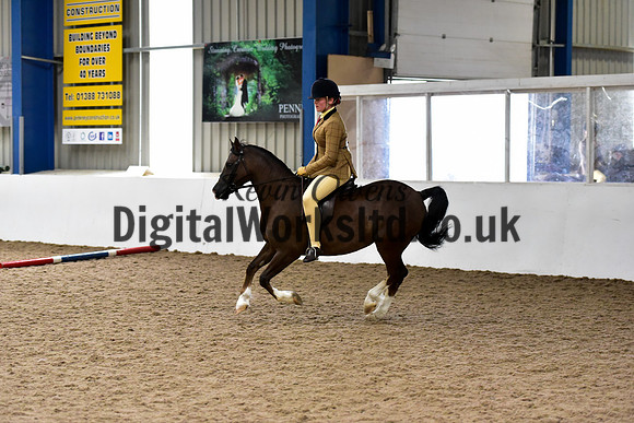 NECWPCA-SUMMER-WELSH-SILVER-MEDAL-SHOW (70 of 419)