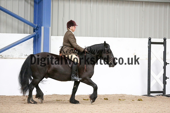 NECWPCA-SUMMER-WELSH-SILVER-MEDAL-SHOW (123 of 315)