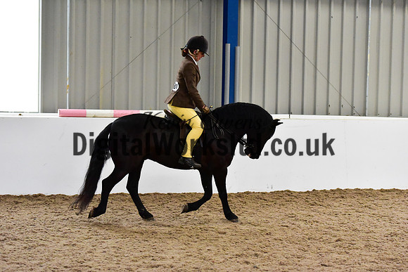 NECWPCA-SUMMER-WELSH-SILVER-MEDAL-SHOW (301 of 315)