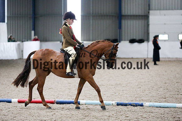 NECWPCA-SUMMER-WELSH-SILVER-MEDAL-SHOW (77 of 315)