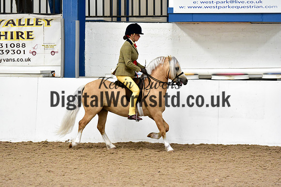 NECWPCA-SUMMER-WELSH-SILVER-MEDAL-SHOW (60 of 92)