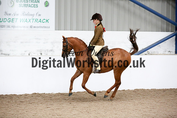 NECWPCA-SUMMER-WELSH-SILVER-MEDAL-SHOW (69 of 325)