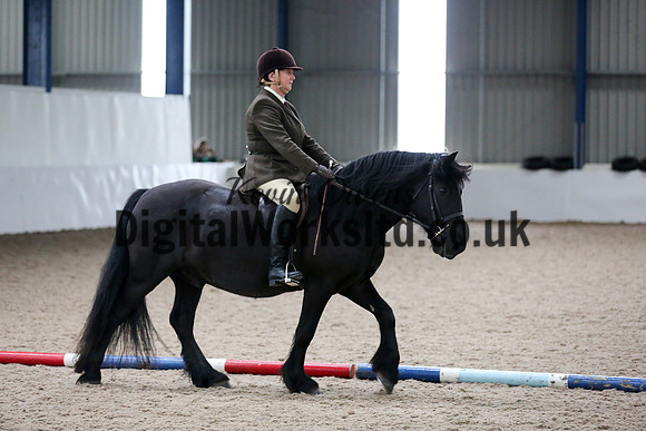 NECWPCA-SUMMER-WELSH-SILVER-MEDAL-SHOW (81 of 315)