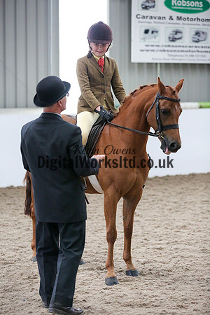 NECWPCA-SUMMER-WELSH-SILVER-MEDAL-SHOW (71 of 325)
