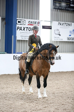 NECWPCA-SUMMER-WELSH-SILVER-MEDAL-SHOW (20 of 325)