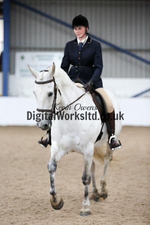 NECWPCA-SUMMER-WELSH-SILVER-MEDAL-SHOW (48 of 315)