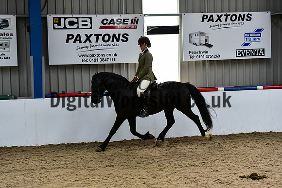 NECWPCA-SUMMER-WELSH-SILVER-MEDAL-SHOW (39 of 92)