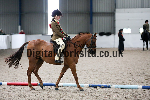 NECWPCA-SUMMER-WELSH-SILVER-MEDAL-SHOW (78 of 315)