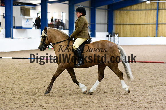 NECWPCA-SUMMER-WELSH-SILVER-MEDAL-SHOW (149 of 325)