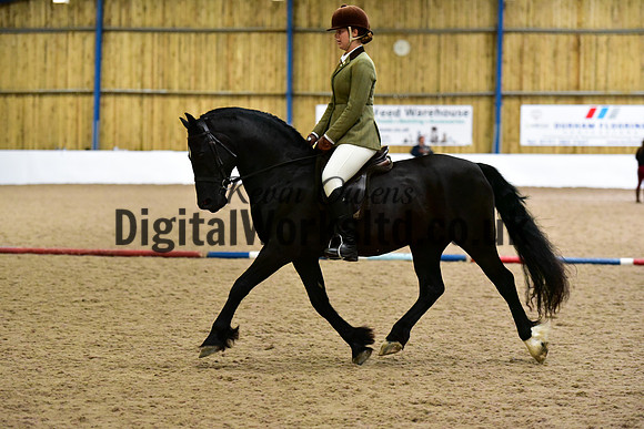 NECWPCA-SUMMER-WELSH-SILVER-MEDAL-SHOW (26 of 325)