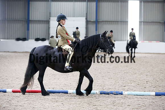 NECWPCA-SUMMER-WELSH-SILVER-MEDAL-SHOW (100 of 315)