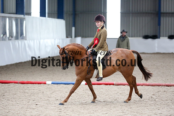 NECWPCA-SUMMER-WELSH-SILVER-MEDAL-SHOW (125 of 315)