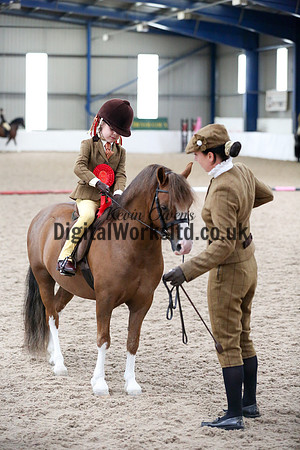 NECWPCA-SUMMER-WELSH-SILVER-MEDAL-SHOW (110 of 325)
