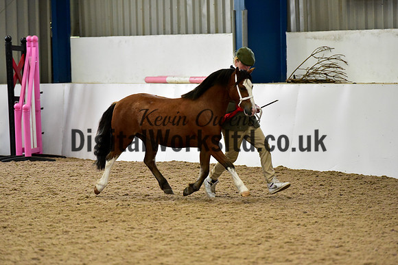 NECWPCA-SUMMER-WELSH-SILVER-MEDAL-SHOW (8 of 54)