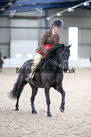 NECWPCA-SUMMER-WELSH-SILVER-MEDAL-SHOW (170 of 325)
