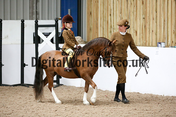 NECWPCA-SUMMER-WELSH-SILVER-MEDAL-SHOW (87 of 325)