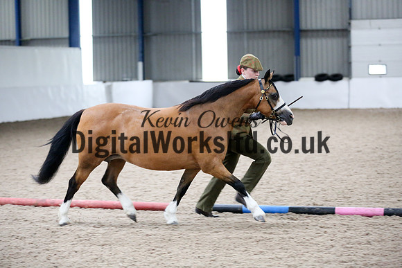 NECWPCA-SUMMER-WELSH-SILVER-MEDAL-SHOW (35 of 427)