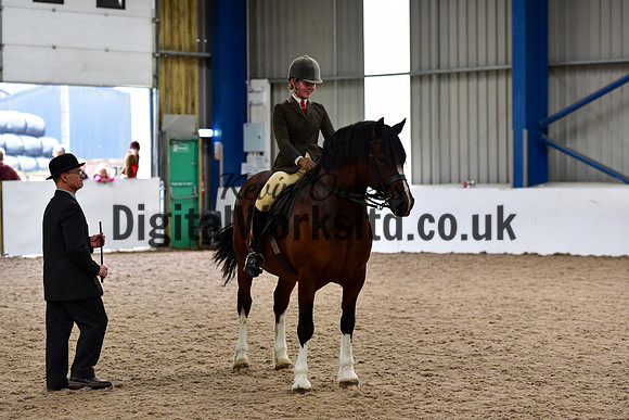 NECWPCA-SUMMER-WELSH-SILVER-MEDAL-SHOW (4 of 100)