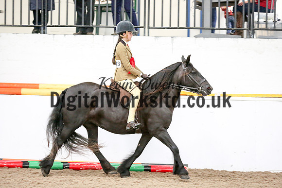 NECWPCA-SUMMER-WELSH-SILVER-MEDAL-SHOW (108 of 315)