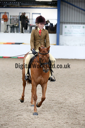 NECWPCA-SUMMER-WELSH-SILVER-MEDAL-SHOW (3 of 315)