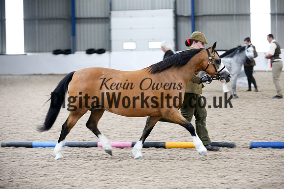NECWPCA-SUMMER-WELSH-SILVER-MEDAL-SHOW (38 of 427)