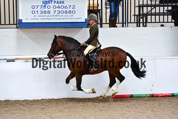 NECWPCA-SUMMER-WELSH-SILVER-MEDAL-SHOW (3 of 100)