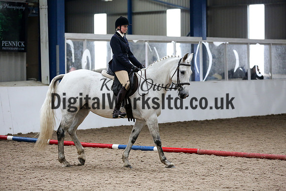 NECWPCA-SUMMER-WELSH-SILVER-MEDAL-SHOW (87 of 315)