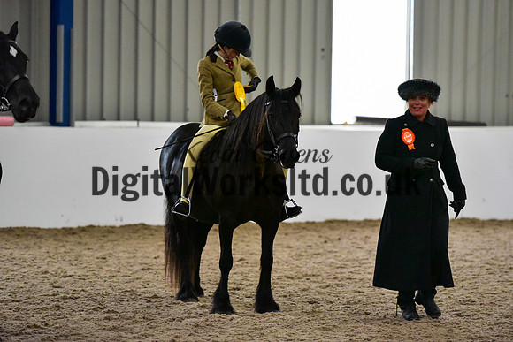 NECWPCA-SUMMER-WELSH-SILVER-MEDAL-SHOW (60 of 325)