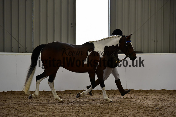 NECWPCA-SUMMER-WELSH-SILVER-MEDAL-SHOW (17 of 150)