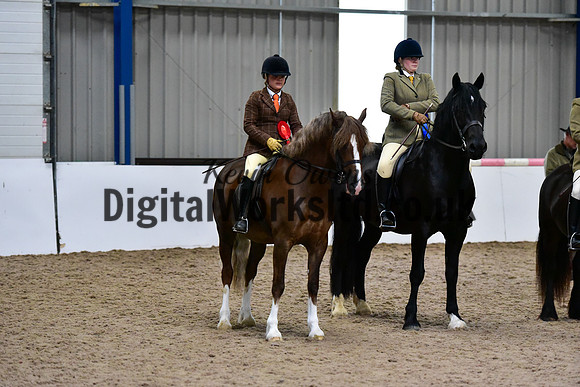 NECWPCA-SUMMER-WELSH-SILVER-MEDAL-SHOW (240 of 315)