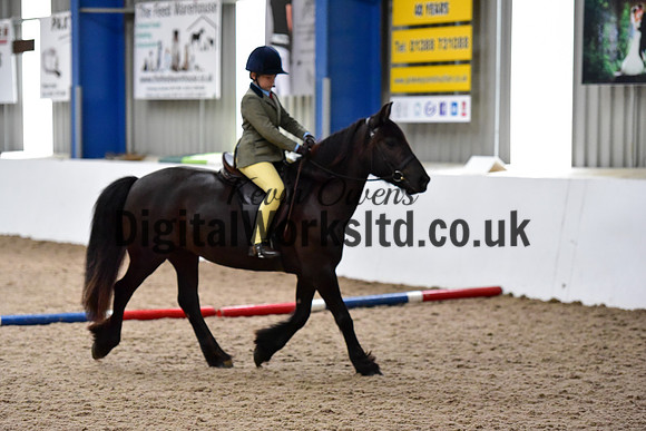 NECWPCA-SUMMER-WELSH-SILVER-MEDAL-SHOW (55 of 419)