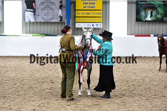 NECWPCA-SUMMER-WELSH-SILVER-MEDAL-SHOW (5 of 159)