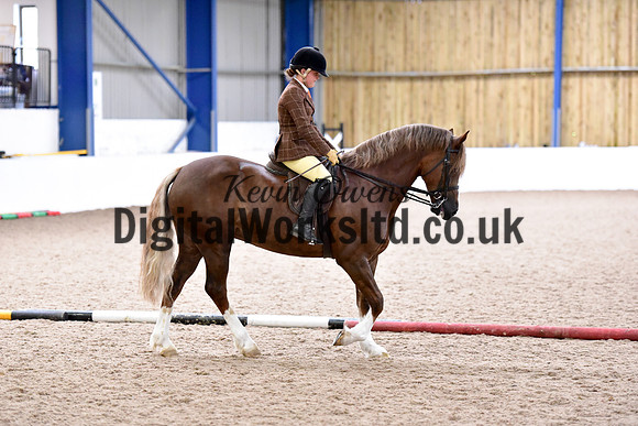 NECWPCA-SUMMER-WELSH-SILVER-MEDAL-SHOW (158 of 315)
