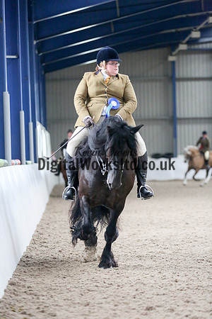 NECWPCA-SUMMER-WELSH-SILVER-MEDAL-SHOW (179 of 325)