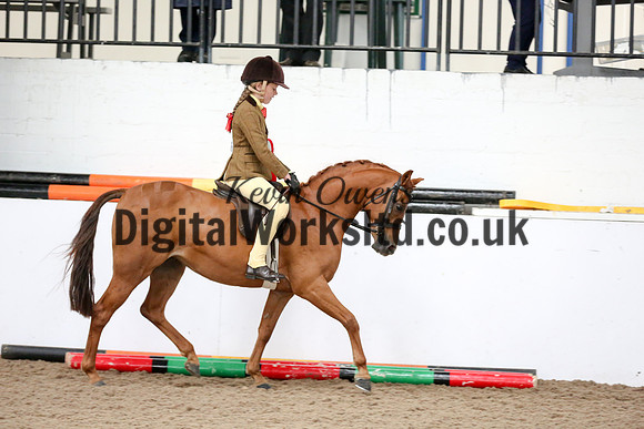 NECWPCA-SUMMER-WELSH-SILVER-MEDAL-SHOW (103 of 315)