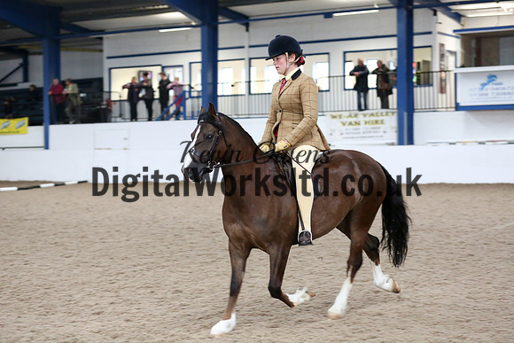 NECWPCA-SUMMER-WELSH-SILVER-MEDAL-SHOW (6 of 325)