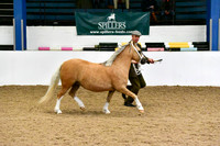 NECWPCA-SUMMER-WELSH-SILVER-MEDAL-SHOW (16 of 412)